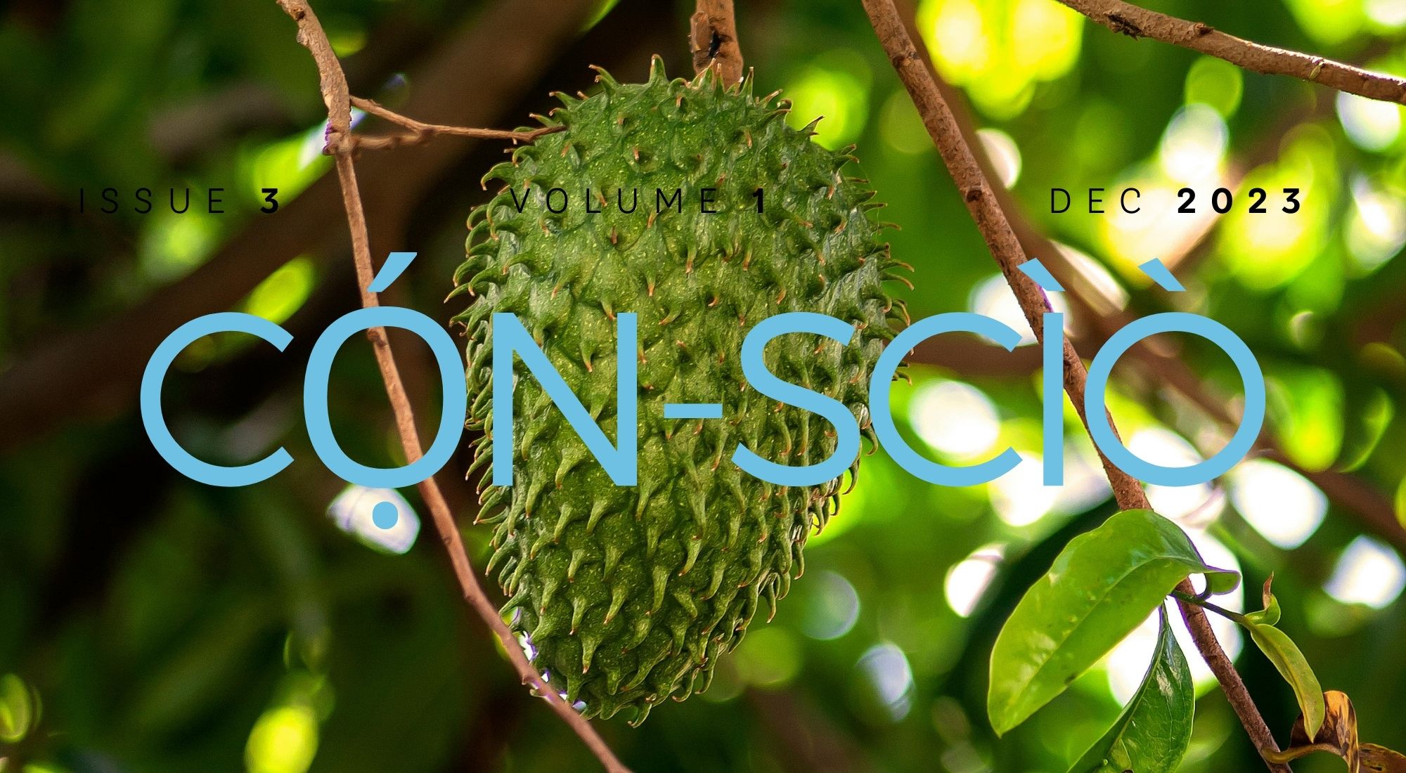 Soursop | a short story by James-Ibe Chinaza