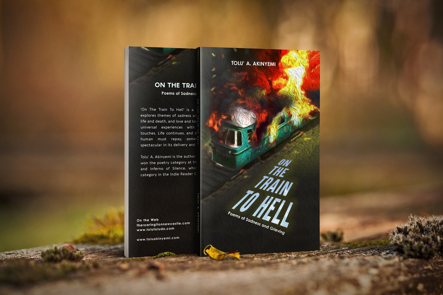 SO, WHEN DID YOU DIE?  | A review of Tolu A. Akinyemi’s ‘On The Train To Hell’ by Jide Badmus
